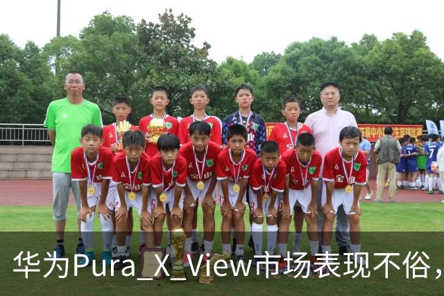 华为Pura X View市场表现不俗，已售出71万台